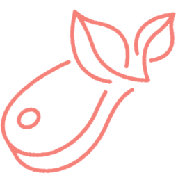 cat-icon-04
